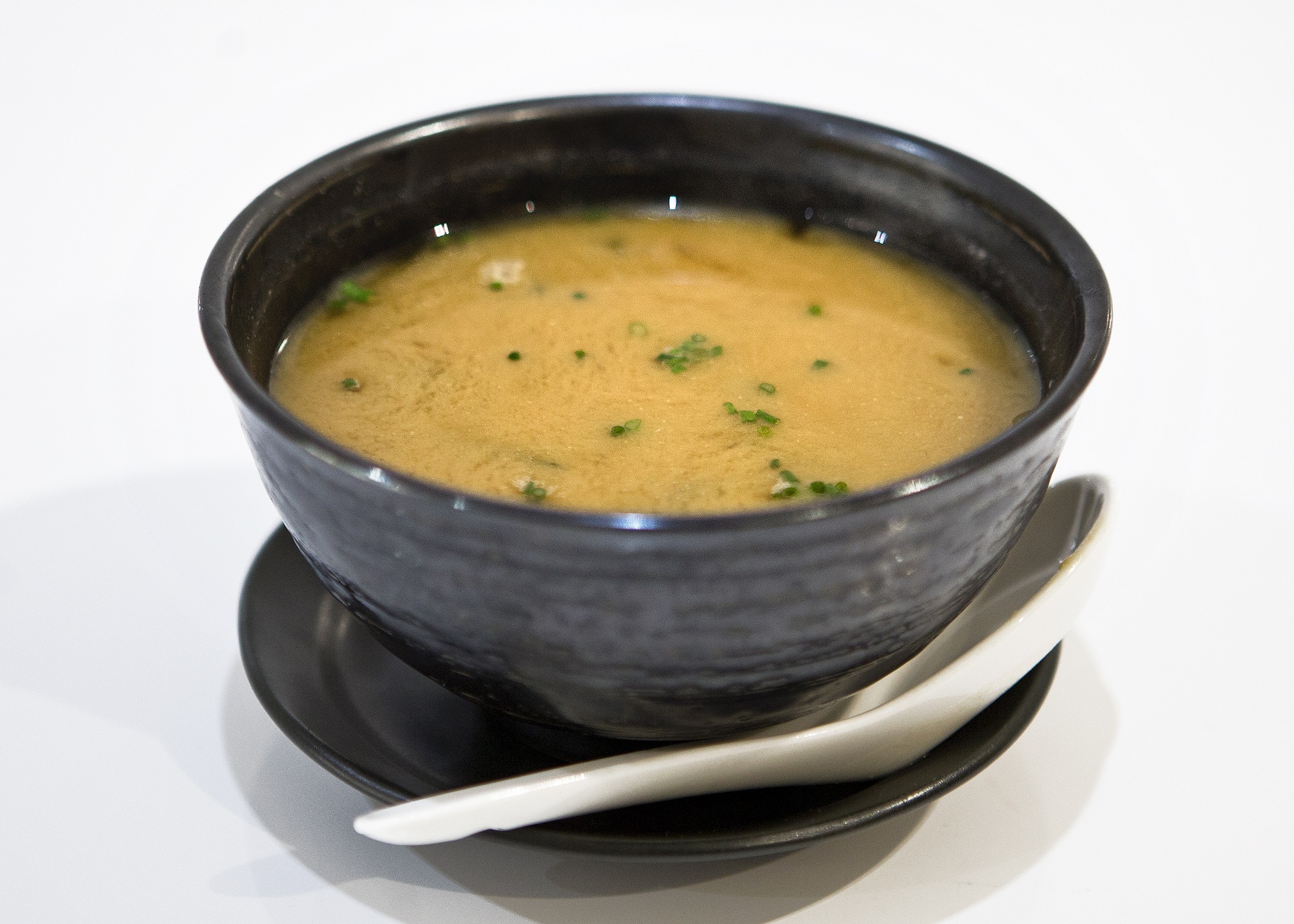 SOPA MISO