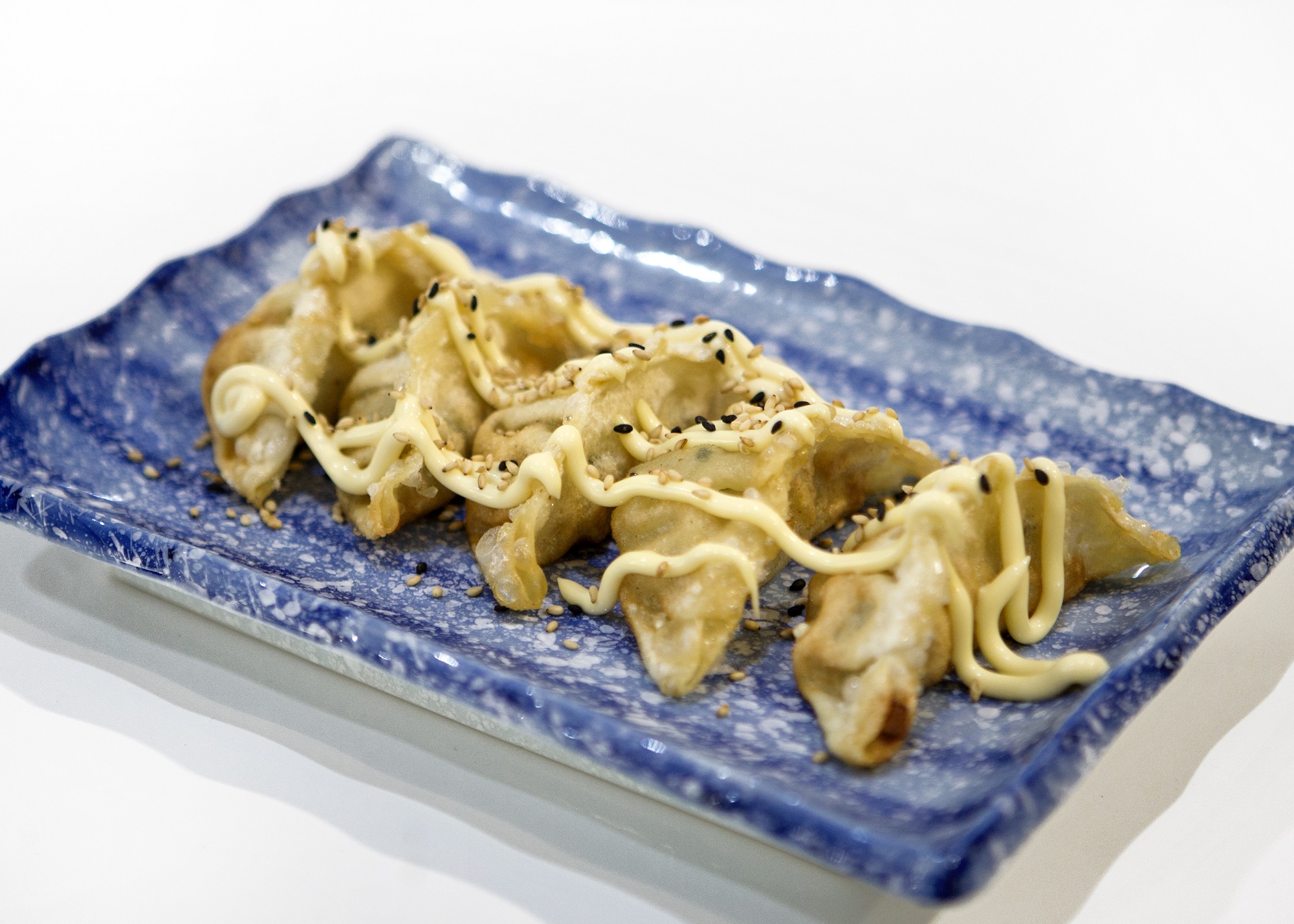 GYOZA DE POLLO FRITO X5